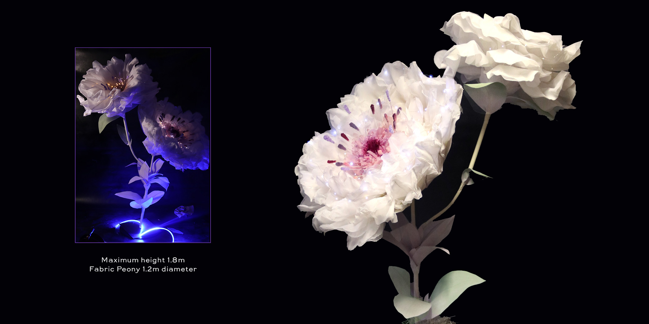 Extra large organza fabric peony flowers